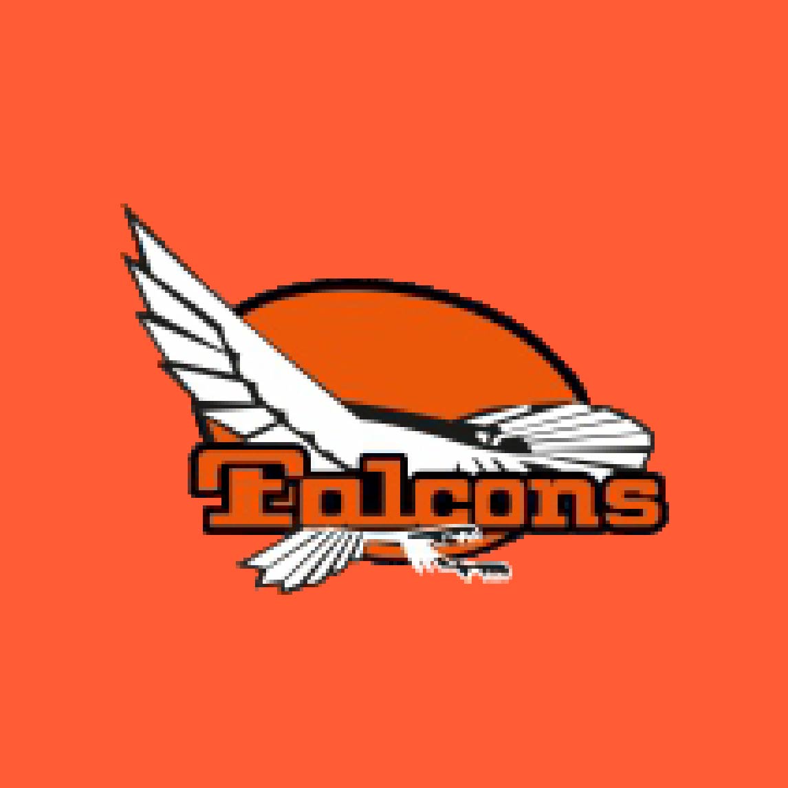 QX3 FalconHockey Logo 01